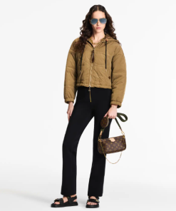 Louis Vuitton Multi Pochette in