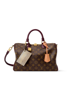 Louis Vuitton Speedy 30 Soft