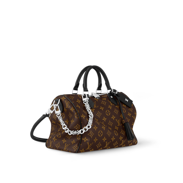 Louis Vuitton Speedy Soft 30