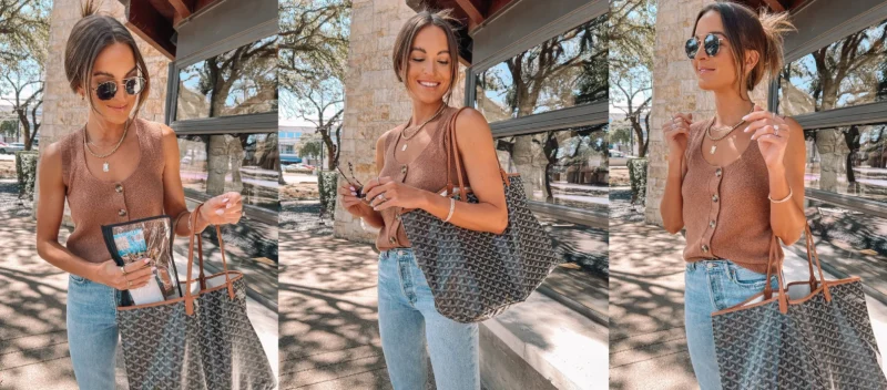 Goyard St Louis Vuitton